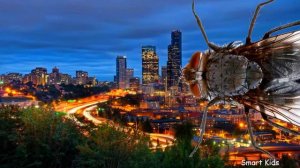 Животные для детей | Учим насекомых и их звуки | Учим названия и голоса насекомых для малышей