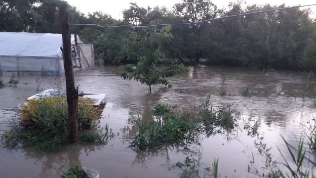 Калинка Малинка под водой смотреть онлайн