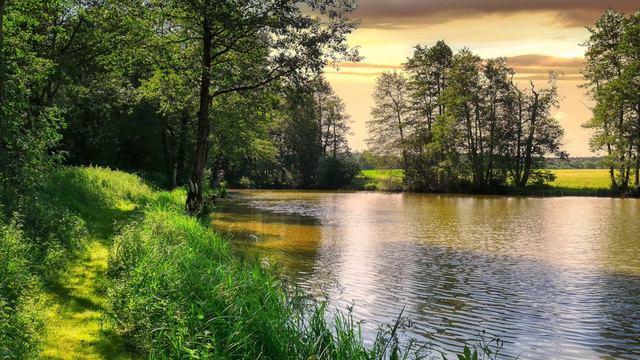 Слушать голос души смотреть онлайн
