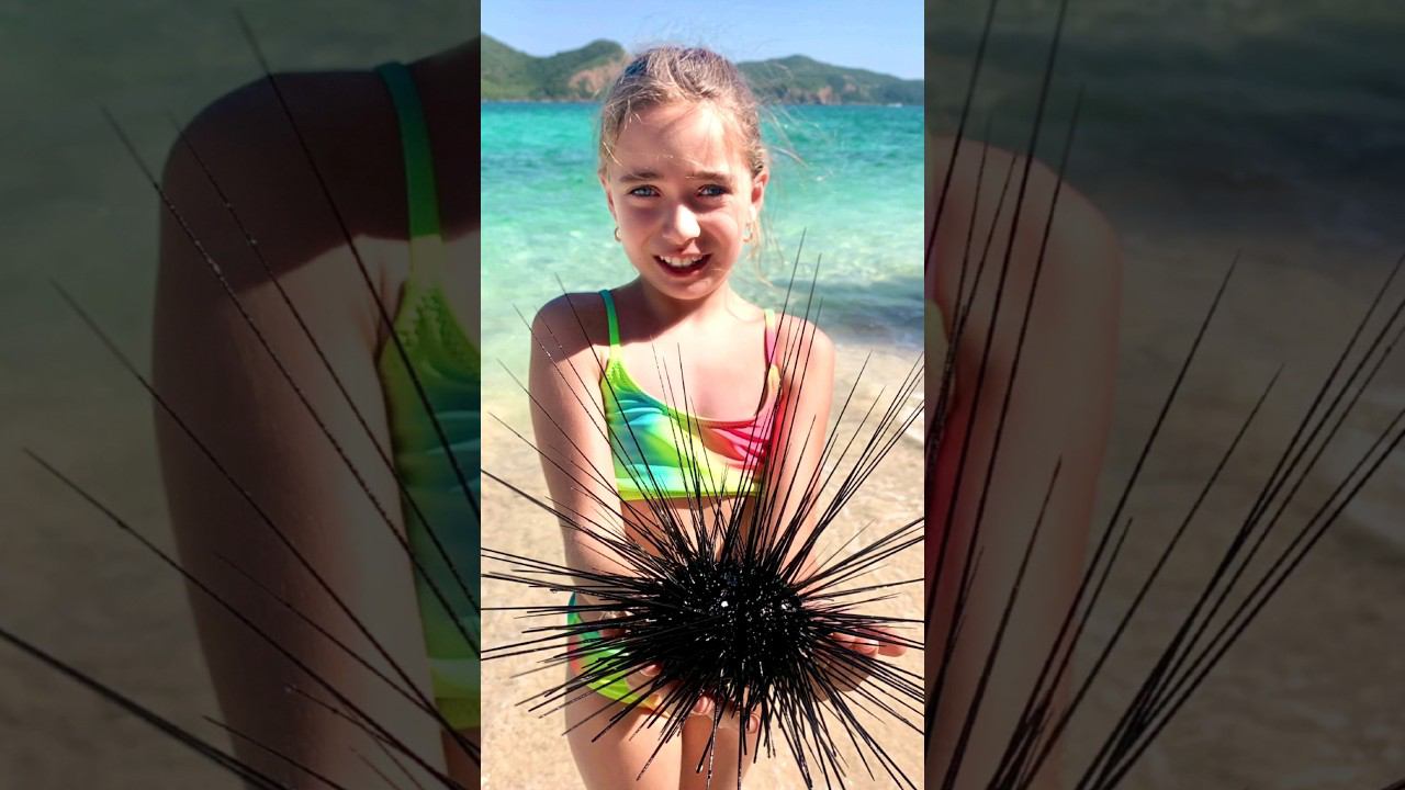 Фото с ежом в подарок на экскурсии в Паттайе от нашего агентства . #паттайя #изумрудныйостров смотреть онлайн