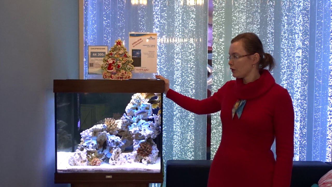 Аквариум с тумбой Juwel LIDO 200 за полцены! смотреть онлайн