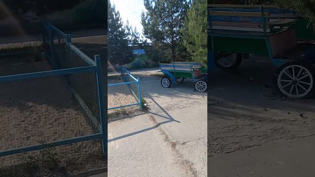 Семейные выходные. Ездили в контактный зоопарк. смотреть онлайн