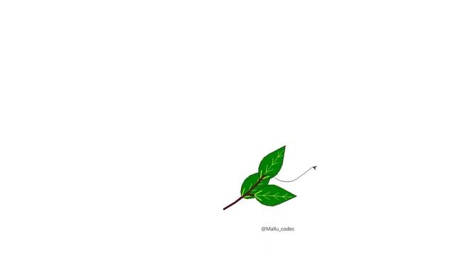 How to Draw green leaf design with python turtle wide screen sequence смотреть онлайн