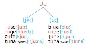 Как правильно произносится английская буква U