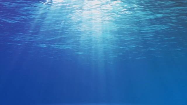 4K Stunning Underwater Wonders of the Red Sea - Relaxing Music | Coral Reefs & Colorful Sea Life смотреть онлайн