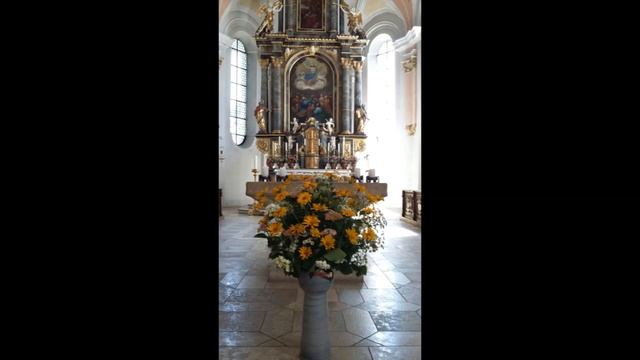 МИР во время ЧУМЫ смотреть онлайн