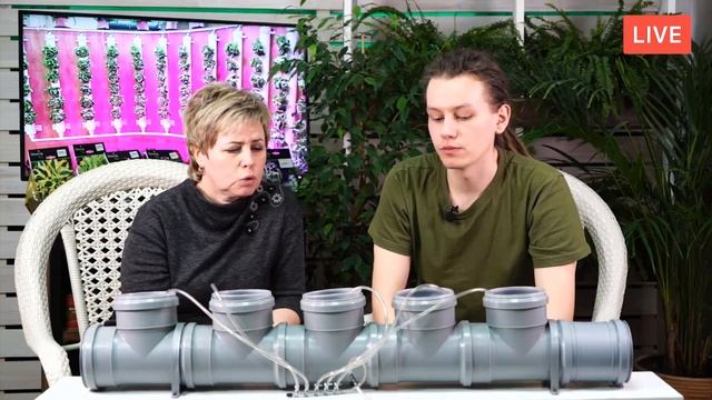 ГИДРОПОНИКА ? Особенности выращивания растений методом гидропоники ? Обзор в прямом эфире смотреть онлайн