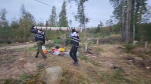 Планировка участка 10 соток ЗА 2 ДНЯ! | Спил деревьев и выкорчевка корней по Ленинградской области