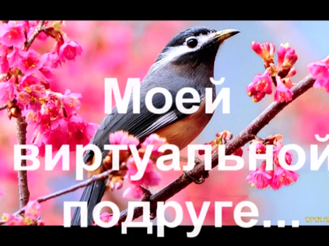 Красивая музыка о нежности и любви _x264 смотреть онлайн