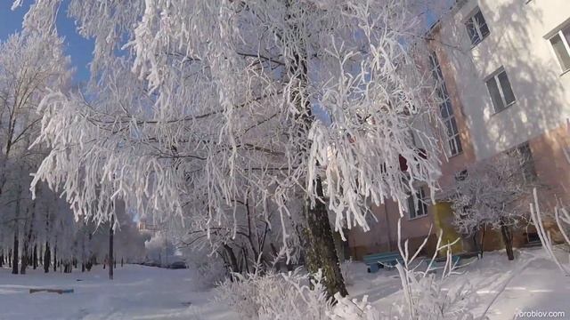 Иней образца 2018 года смотреть онлайн