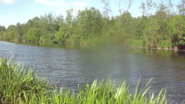 НОВАЯ ИДЕЯ ДЛЯ РЫБАЛКИ