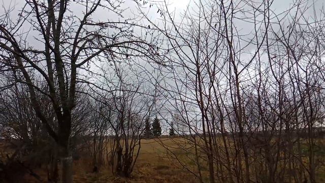 Дачные воришки, кто они? Это каким надо быть наглецом и бессовестным, чтобы украсть у своего соседа смотреть онлайн