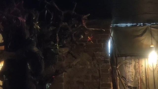 Ворон и Ворон ( шаманский бар) Мучной пер., 1/38, Санкт-Петербург смотреть онлайн