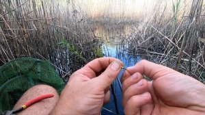 оснастка поплавочной удочки для ловли в камышах