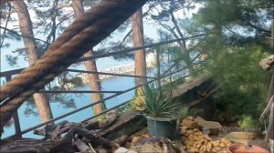 Обзор на отель Вилла Агрия🌴☀️