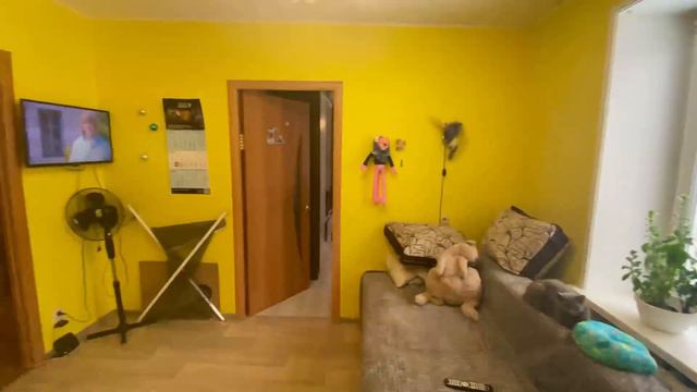 Ликино Дулево текстильщиков 5 3 к к продажа смотреть онлайн