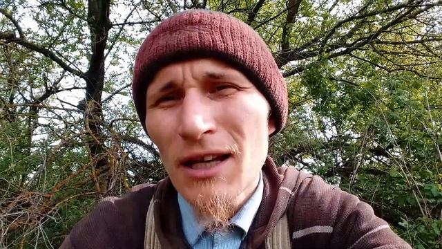 Дом в деревне спасёт в кризис? смотреть онлайн
