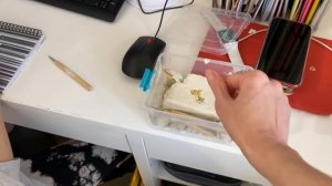 ВЛОГ. Утро в нашем доме. Киру не выгнать на улицу. Кот. Микрогрин. Кира. Маша. семейные влоги