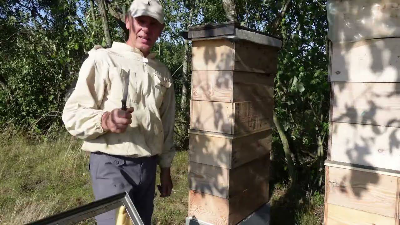 отбор меда и последняя кочевка ,в этом сезоне ,на вереск смотреть онлайн