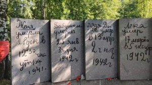 Мемориал "Цветок Жизни" на выезде из Санкт-Петербурга во Всеволожском районе ленинградской области
