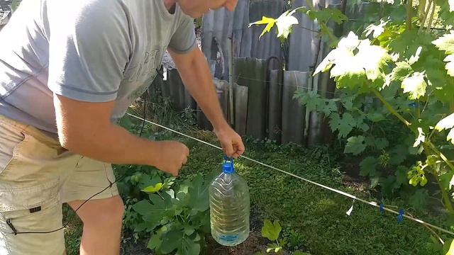 Дачный лайфхак,теперь Ваши саженцы не засохнут. смотреть онлайн