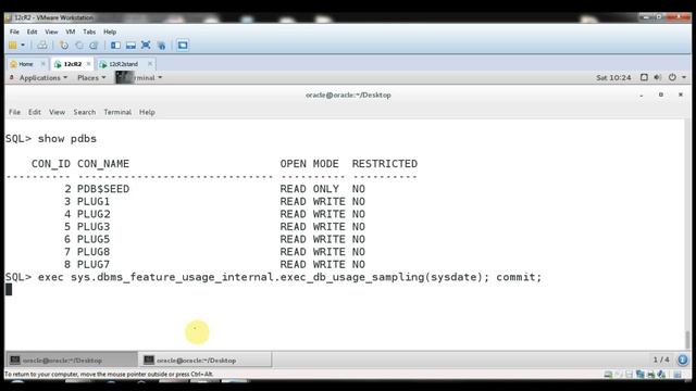 12c Multitenant - Check Multitenant Usage смотреть онлайн