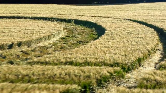 Круги на полях / Великобритания 2019 смотреть онлайн