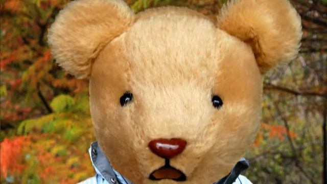 tp bear смотреть онлайн