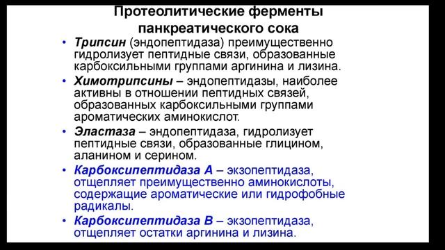 Пищеварительная система (часть 6) | Видеокурс Андрея Антонова "Основы физиологии человека" смотреть онлайн