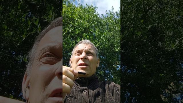 состояние ухудшается смотреть онлайн