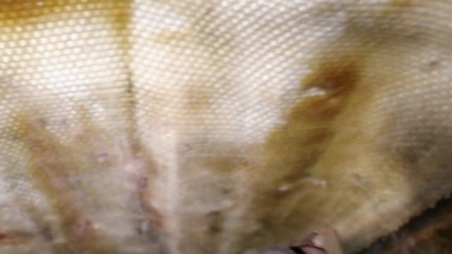 Пластиковая крыша на луаз #51 смотреть онлайн