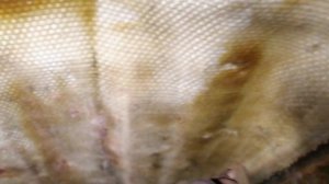 Пластиковая крыша на луаз #51