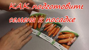 Как я подготавливаю семена моркови к посадке. Секрет большого урожая!
