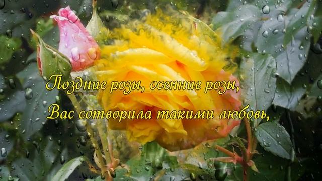 Поздние розы смотреть онлайн