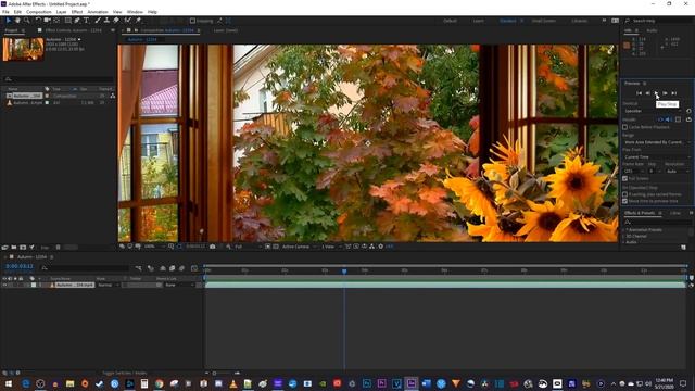 Adobe After Effects : How to View Full Screen Preview смотреть онлайн