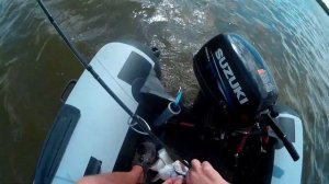 Рыбалка в Астраханской области река Бузан троллинг