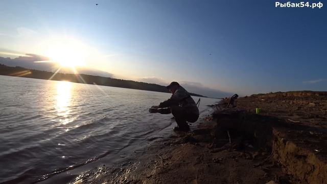 ДОЖДАЛИСЬ! Мощные ПОКЛЁВКИ, ОБРЫВЫ, СХОДЫ! Рыбалка на РЕЗИНКУ ЛЕТОМ! смотреть онлайн