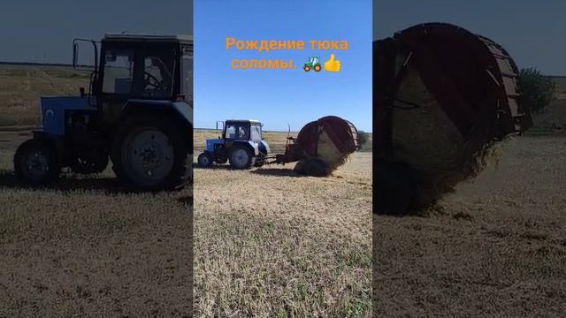Выгрузка тюка из пресс-подборщика ПР-Ф-750 за трактором МТЗ-80.1 смотреть онлайн
