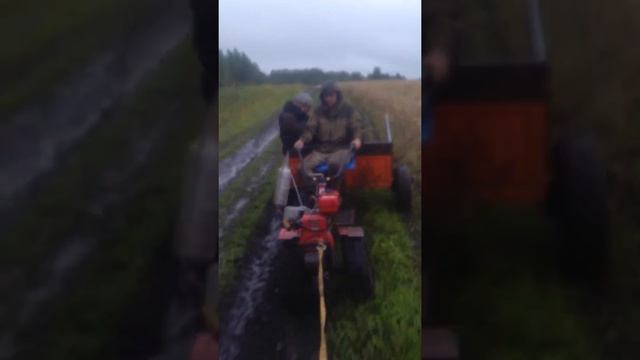 Два реальных пацана Сашка Емельянов и Олежка Носков смотреть онлайн