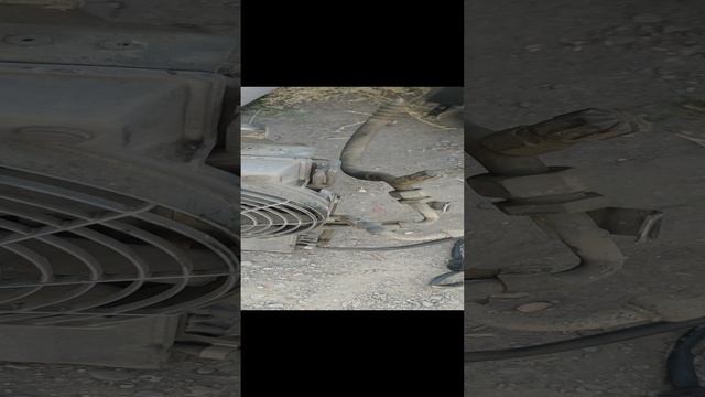 VID_20230615_155123.mp4