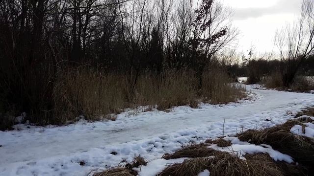 The Last Day of Winter, Beautiful Romantic Piano Melodies, Instrumental Music, Vladimir Sterzer смотреть онлайн