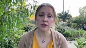 Выбор щенка. Как выбрать лучшего щенка из помета? О чем молчат заводчики собак?