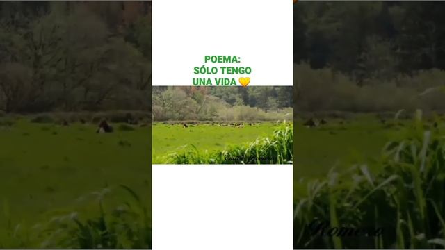 POEMA: SOLO TENGO UNA VIDA #reflexión #yeshua смотреть онлайн