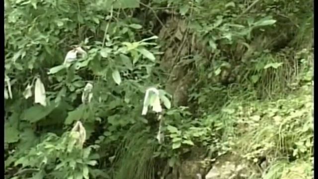 АРКАДИЙ ЦОРИОНТИ и анс. "Сармат" смотреть онлайн