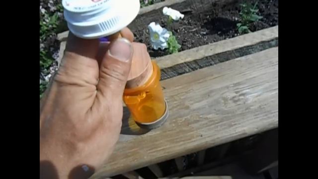 Homemade Queen Marking Cage смотреть онлайн