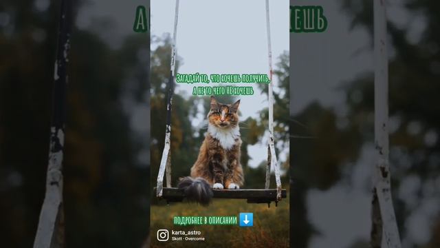 Как загадать желание, чтобы сбылось?Магия Новолуния #втренде #новолуние #желание #какзагадатьжелани смотреть онлайн