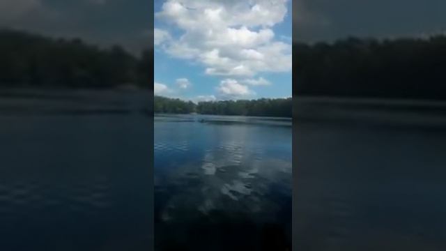 Карп утащил удочку!!! смотреть онлайн