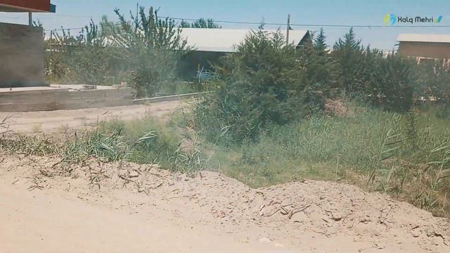 БЕРУНИЙ ТУМАНИ БЕРУНИЙ КУЧА АХОЛИCИ ЧАНГ ОСТИДА ЯШАМОКДА БУНГА КИМ ЖАВОБ БЕРАДИ 18.06.2022