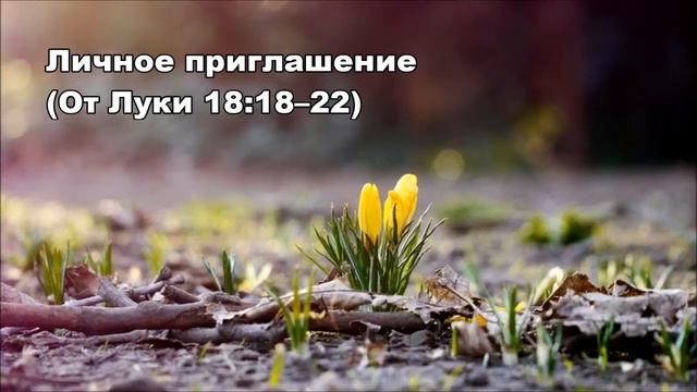 Тихое время с Живой Жизнью: от Луки 18:18–30 (21032017) смотреть онлайн