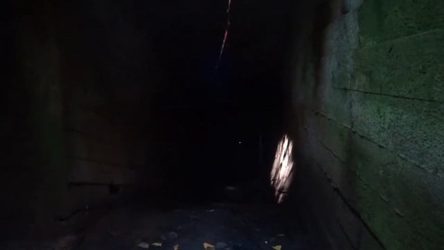 как кот диггеров повстречал смотреть онлайн